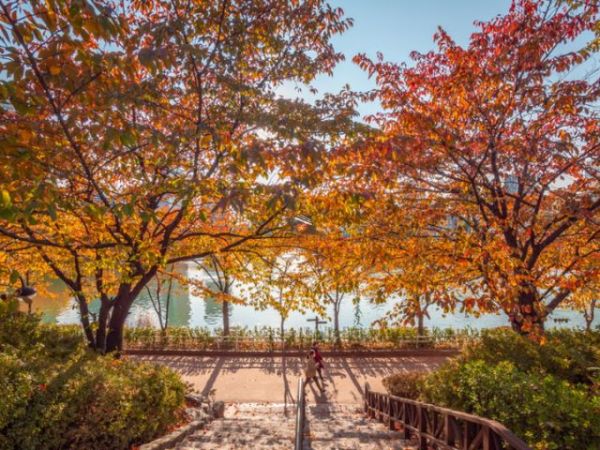 Best Time to Visit Seoul (9)